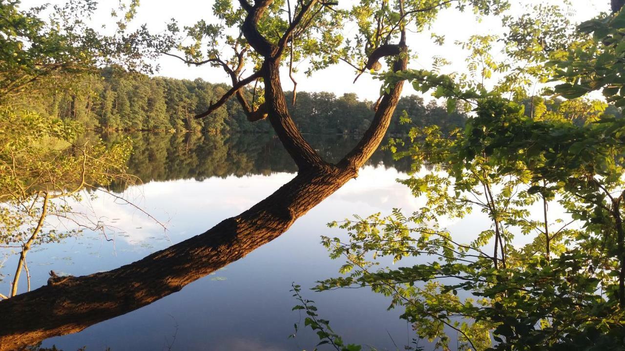 Sidowseetraum Himmelpfort Exteriör bild